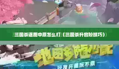 三国杀逐鹿中原怎么打（三国杀升官阶技巧）