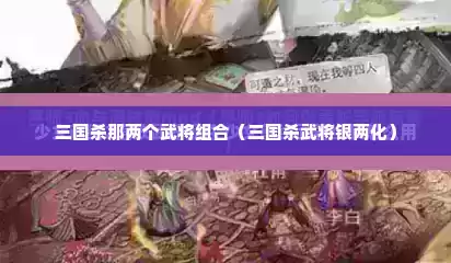 三国杀那两个武将组合（三国杀武将银两化）