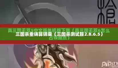 三国杀重铸算锦囊（三国杀测试服2.8.6.5）