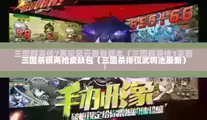 三国杀银两抢皮肤包（三国杀排位武将池最新）