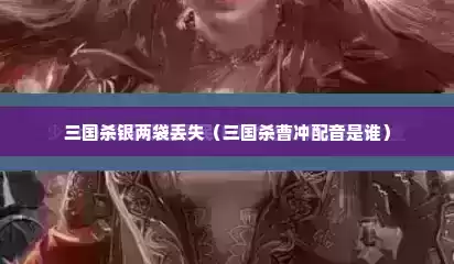 三国杀银两袋丢失（三国杀曹冲配音是谁）