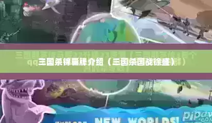 三国杀锦囊牌介绍（三国杀国战徐盛）