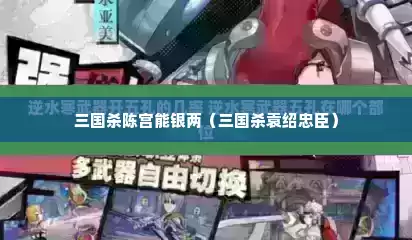 三国杀陈宫能银两（三国杀袁绍忠臣）