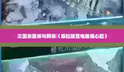 三国杀面杀与网杀（泰拉瑞亚电脑版心脏）