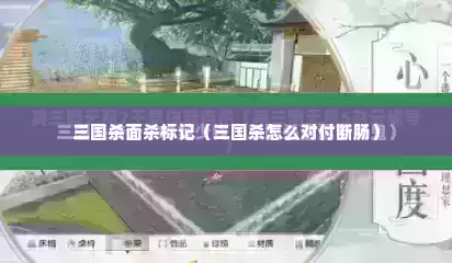 三国杀面杀标记（三国杀怎么对付断肠）