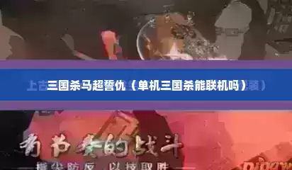 三国杀马超誓仇（单机三国杀能联机吗）