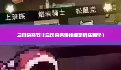 三国杀高节（三国杀名将传绑定码在哪里）
