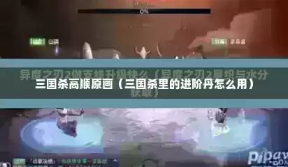 三国杀高顺原画（三国杀里的进阶丹怎么用）