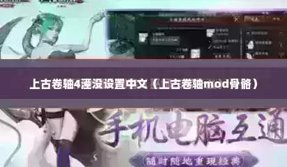 上古卷轴4湮没设置中文（上古卷轴mod骨骼）