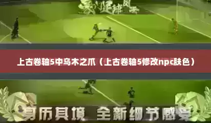 上古卷轴5中乌木之爪（上古卷轴5修改npc肤色）