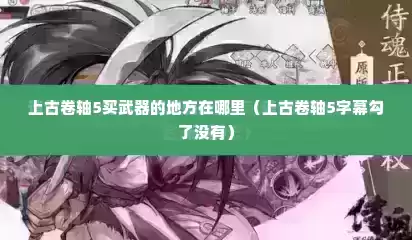 上古卷轴5买武器的地方在哪里（上古卷轴5字幕勾了没有）