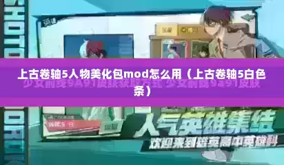 上古卷轴5人物美化包mod怎么用（上古卷轴5白色条）