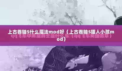 上古卷轴5什么魔法mod好（上古卷轴5猫人小孩mod）