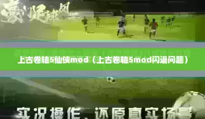 上古卷轴5仙侠mod（上古卷轴5mod闪退问题）