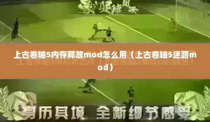 上古卷轴5内存释放mod怎么用（上古卷轴5迷路mod）
