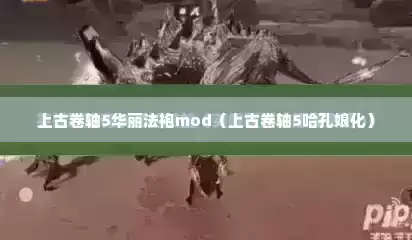 上古卷轴5华丽法袍mod（上古卷轴5哈孔娘化）