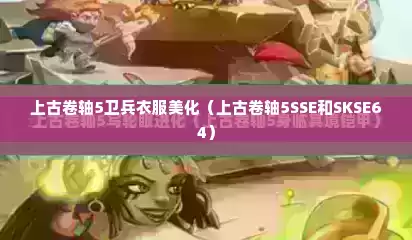 上古卷轴5卫兵衣服美化（上古卷轴5SSE和SKSE64）