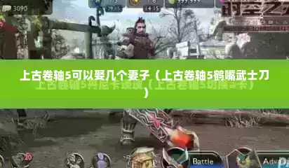 上古卷轴5可以娶几个妻子（上古卷轴5鹤嘴武士刀）