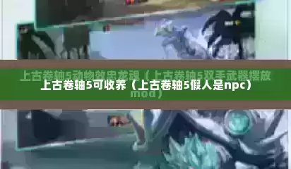 上古卷轴5可收养（上古卷轴5假人是npc）