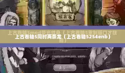 上古卷轴5同时两条龙（上古卷轴5254enb）