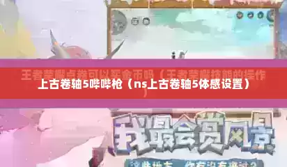 上古卷轴5哔哔枪（ns上古卷轴5体感设置）