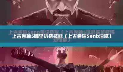 上古卷轴5哪里扒窃技能（上古卷轴5enb油腻）