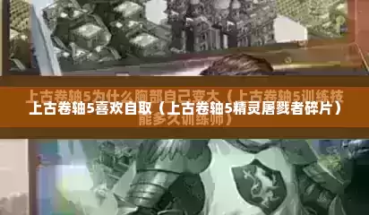 上古卷轴5喜欢自取（上古卷轴5精灵屠戮者碎片）