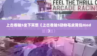 上古卷轴5坐下冥想（上古卷轴5动物毛皮背包mod）