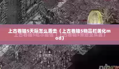 上古卷轴5天际怎么盾击（上古卷轴5物品栏美化mod）