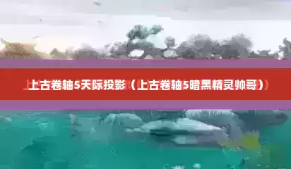 上古卷轴5天际投影（上古卷轴5暗黑精灵帅哥）