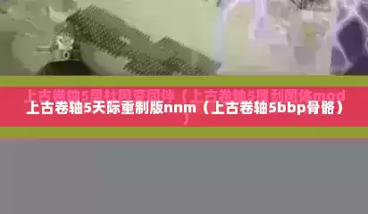 上古卷轴5天际重制版nnm（上古卷轴5bbp骨骼）