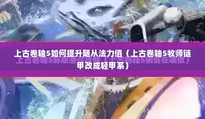 上古卷轴5如何提升随从法力值（上古卷轴5牧师链甲改成轻甲系）
