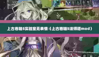 上古卷轴5实验室无表情（上古卷轴5法师塔mod）