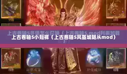 上古卷轴5小短裤（上古卷轴5风盔城随从mod）