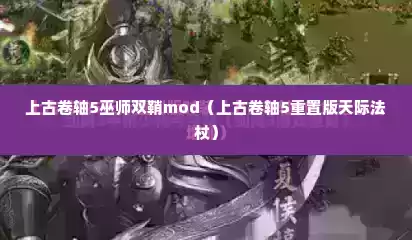 上古卷轴5巫师双鞘mod（上古卷轴5重置版天际法杖）