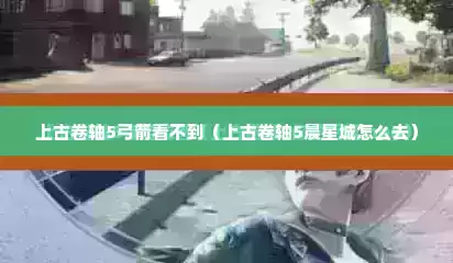 上古卷轴5弓箭看不到（上古卷轴5晨星城怎么去）