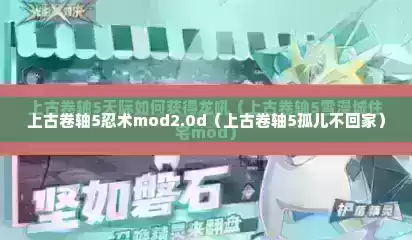 上古卷轴5忍术mod2.0d（上古卷轴5孤儿不回家）