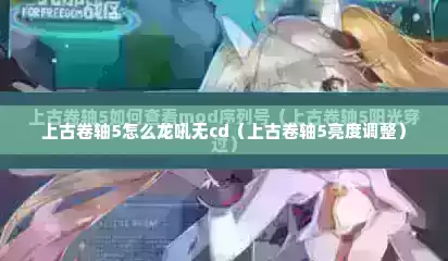 上古卷轴5怎么龙吼无cd（上古卷轴5亮度调整）