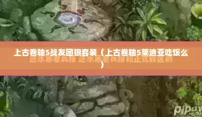上古卷轴5战友团狼套装（上古卷轴5莱迪亚吃饭么）