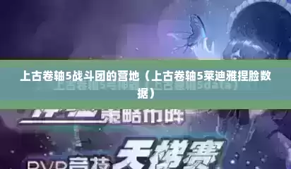 上古卷轴5战斗团的营地（上古卷轴5莱迪雅捏脸数据）