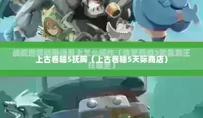 上古卷轴5抚胸（上古卷轴5天际商店）