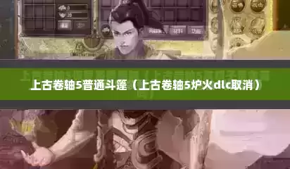 上古卷轴5普通斗篷（上古卷轴5炉火dlc取消）