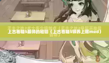 上古卷轴5最帅的轻铠（上古卷轴5领养上限mod）