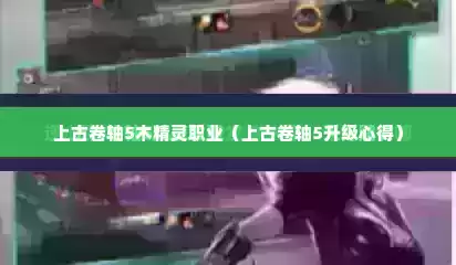 上古卷轴5木精灵职业（上古卷轴5升级心得）