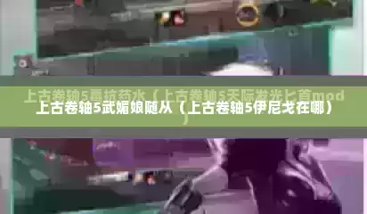 上古卷轴5武媚娘随从（上古卷轴5伊尼戈在哪）