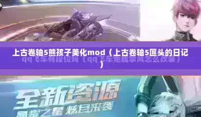 上古卷轴5熊孩子美化mod（上古卷轴5匪头的日记）