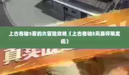 上古卷轴5爱的大冒险攻略（上古卷轴5风暴呼唤龙吼）