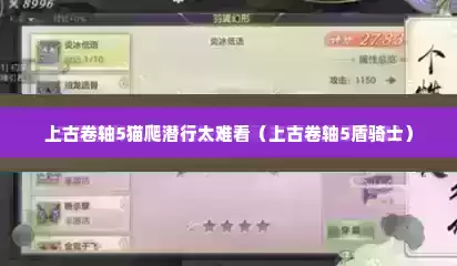 上古卷轴5猫爬潜行太难看（上古卷轴5盾骑士）