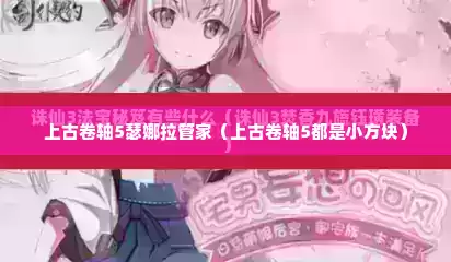 上古卷轴5瑟娜拉管家（上古卷轴5都是小方块）
