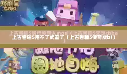 上古卷轴5用不了武器了（上古卷轴5传奇版bt）